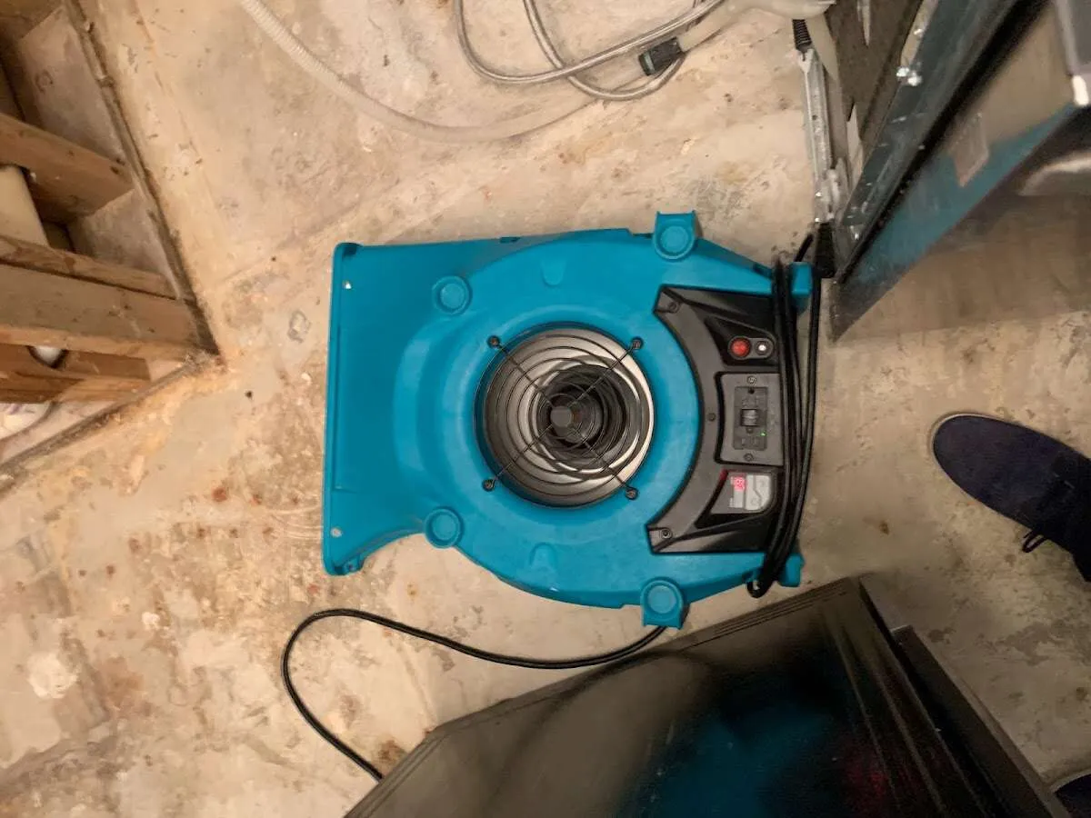 Air mover drying equipment for Mold Remediation & Removal in Concord